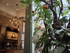 -玛格萝妮比萨屋(四平店)