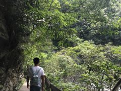 -太鲁阁公园