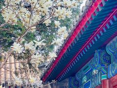 -大觉寺-停车场