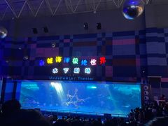 -泉城欧乐堡海洋极地世界