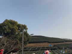 -听风阁农家私房菜茶楼(龙坞店)