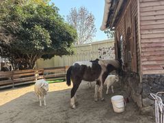 -HERRE·FARM 赫尔露营农场·团建聚会包场