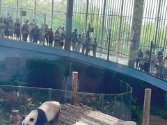 -大连森林动物园