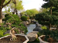 upload_pic-中国唐苑