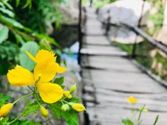 -碓臼峪自然风景区