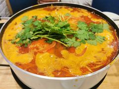酸汤鱼火锅-贵凤凰贵州米粉(五道口店)