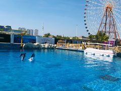 -三亚海昌梦幻海洋不夜城