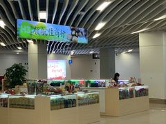 -厦门五通客运码头