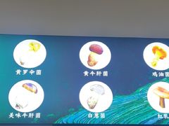 -一善菌·云南菌汤·云南菜(银泰城店)