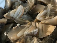 -漳州佰翔圆山酒店·圆山畔西餐厅