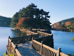 -庐山风景区花径公园