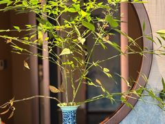 -龙井御庄·精致江南菜(龙井店)