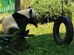 -大连森林动物园