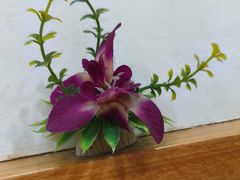 -花鸟鱼私家小厨(文殊院店)