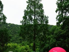 -宝岩生态观光园