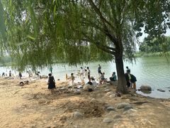 -大兴滨河森林公园