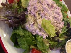 我的金枪鱼沙拉-Tubestation站点比萨(五道营店)