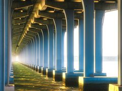 -宝安西湾红树林湿地公园