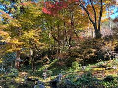 -三千院