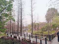 -映月湖公园