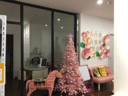 -Lab Season惜辰颜究社