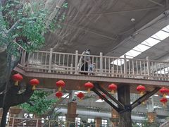 -南宫五洲植物乐园