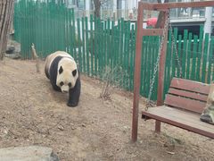 -大连森林动物园