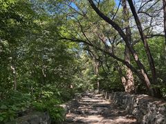 -阳台山自然风景区