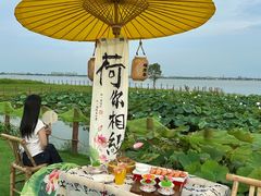 -七的湖·晚芳亭·阳澄湖农家菜·大闸蟹(莲花岛店)