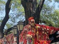 -大槐树寻根祭祖园