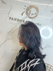 -潘多拉Hairsalon