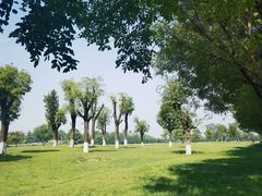 -汉长安城未央宫国家考古遗址公园