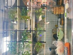 -刘鸿盛(罍街店)