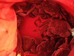 -上海浦南农副产品批发市场