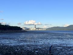 -深圳湾公园(南山区)