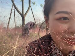 -白鹭湾湿地公园