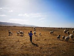 -青海湖国家重点风景名胜区