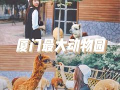 -灵玲国际马戏城