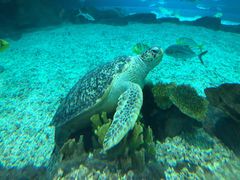 -福州罗源湾海洋世界旅游区