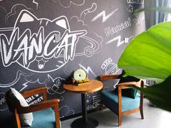 -梵猫·新养生(湛江鼎盛店)