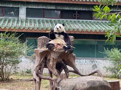 -广州动物园