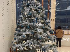 -世纪星滑冰俱乐部(万象城店)