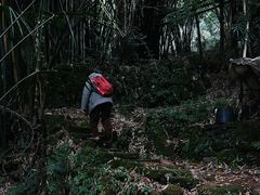 -樱桃山旅游景区