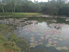 -白沙门生态公园
