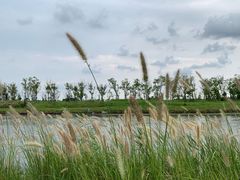 -春花秋色城市公园