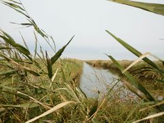-红海滩国家风景廊道