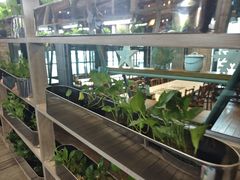 -Ohkajhu Organic Farm Sansai