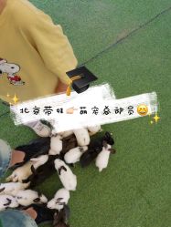 -萌宠亲子动物乐园(槐房万达店)