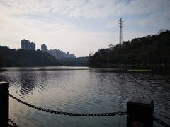 -重庆彩云湖湿地公园