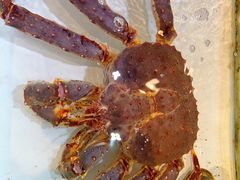 -万龙洲海鲜(南新仓店)